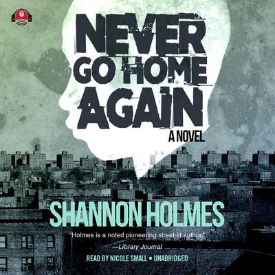 Never Go Home Again by Shannon Holmes audiobook