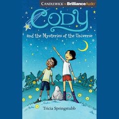 Cody and the Mysteries of the Universe by Tricia Springstubb audiobook