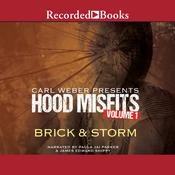 Hood Misfits Volume 1 by  Brick audiobook