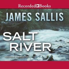 Salt River by James Sallis audiobook
