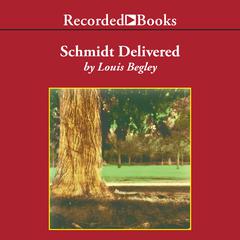 Schmidt Delivered by Louis Begley audiobook