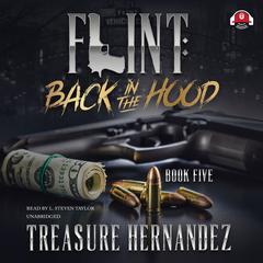 Flint, Book 5 by Treasure Hernandez audiobook