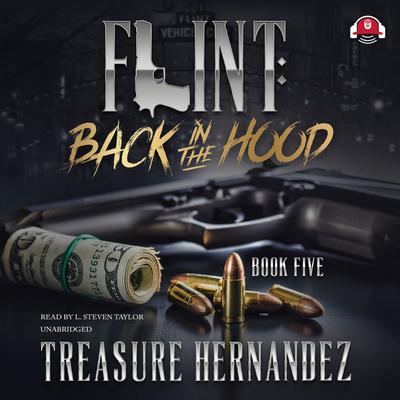 Flint, Book 5 by Treasure Hernandez audiobook
