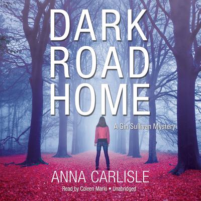 Dark Road Home by Anna  Carlisle audiobook