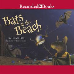 Bats at the Beach by Brian Lies audiobook