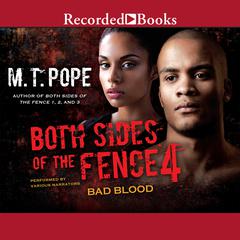 Both Sides of the Fence 4 by M. T. Pope audiobook