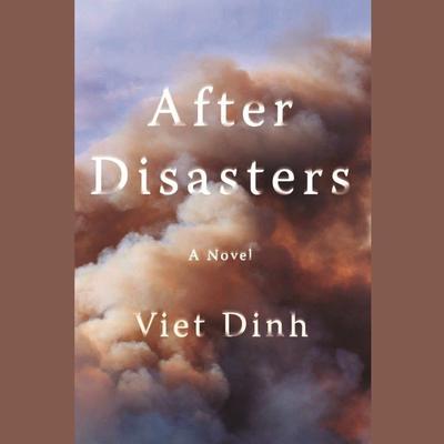 After Disasters by Viet Dinh audiobook