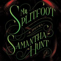 Mr. Splitfoot by Samantha Hunt audiobook