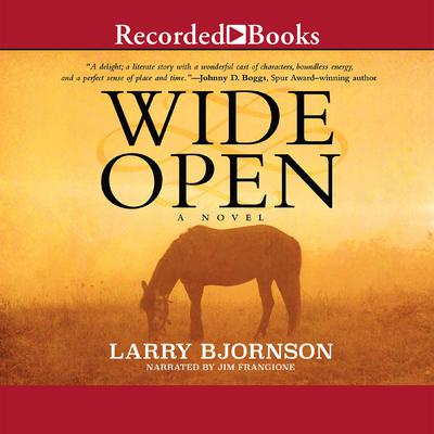 Wide Open by Larry Bjornson audiobook