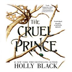 The Cruel Prince by Holly Black audiobook
