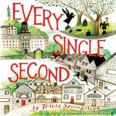 Every Single Second by Tricia Springstubb audiobook