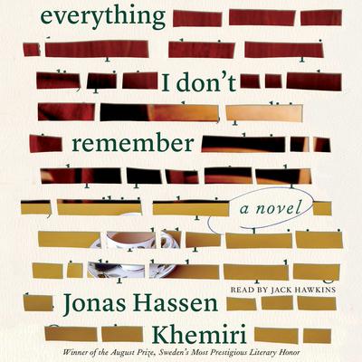 Everything I Don't Remember by Jonas Hassen Khemiri audiobook
