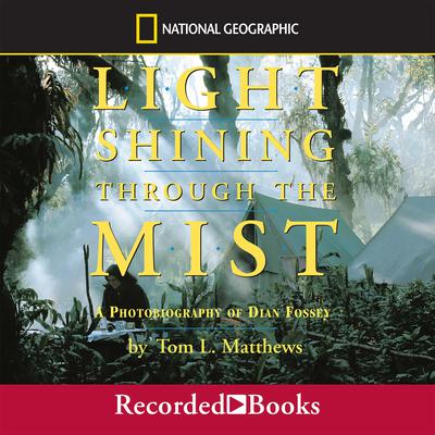 Light Shining Through the Mist by Tom L. Mathews audiobook