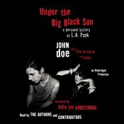 Under the Big Black Sun by  John Doe audiobook