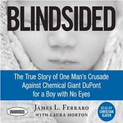 Blindsided by James L. Ferraro audiobook