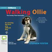 Walking Ollie by  Stephen Foster audiobook