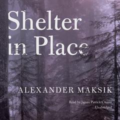 Shelter in Place by Alexander Maksik audiobook