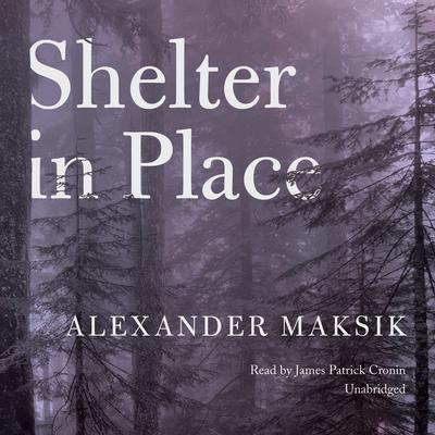 Shelter in Place by Alexander Maksik audiobook