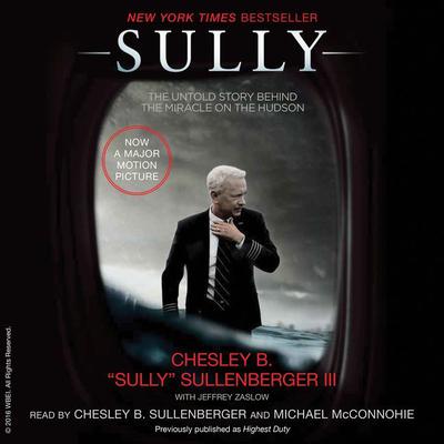 Sully by Chesley B. 