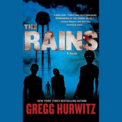 The Rains by Gregg Hurwitz audiobook