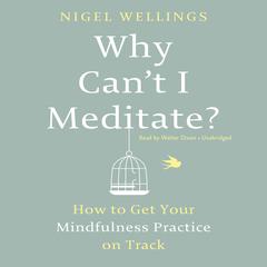 Why Can't I Meditate? by Nigel Wellings audiobook