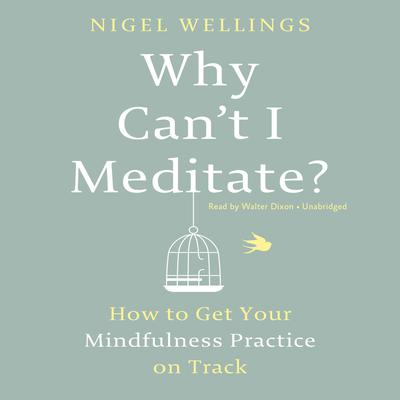 Why Can't I Meditate? by Nigel Wellings audiobook