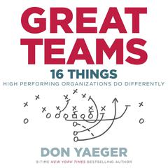 Great Teams by Don Yaeger audiobook