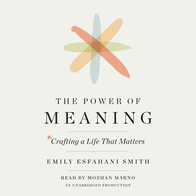 The Power of Meaning by Emily Esfahani Smith audiobook