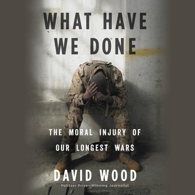 What Have We Done by David Wood audiobook