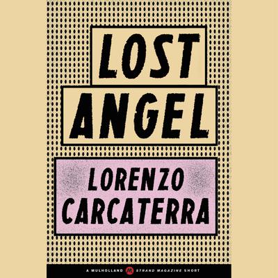 Lost Angel by Lorenzo Carcaterra audiobook