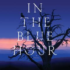 In the Blue Hour by Elizabeth Hall audiobook