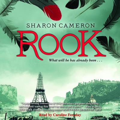 Rook by Sharon Cameron audiobook