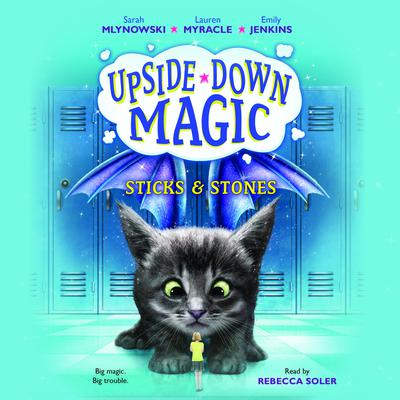 Sticks & Stones by Sarah Mlynowski audiobook