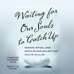 Waiting for Our Souls to Catch Up by Carol M. Perry audiobook