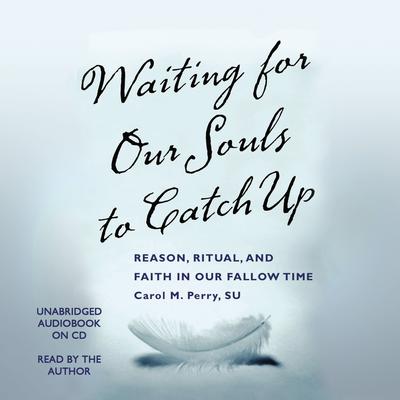 Waiting for Our Souls to Catch Up by Carol M. Perry audiobook