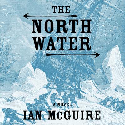 The North Water by Ian McGuire audiobook