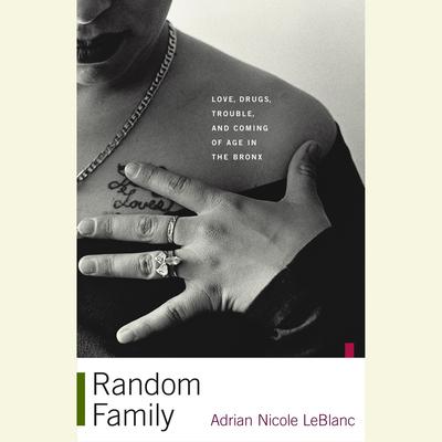 Random Family by Adrian Nicole LeBlanc audiobook