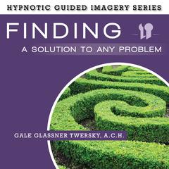 Finding a Solution to Any Problem by Gale Glassner Twersky  audiobook