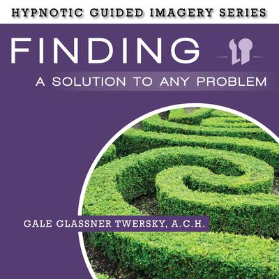 Finding a Solution to Any Problem by Gale Glassner Twersky  audiobook