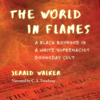 The World in Flames by Jerald Walker audiobook