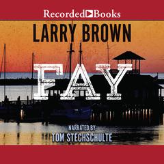 Fay by Larry Brown audiobook