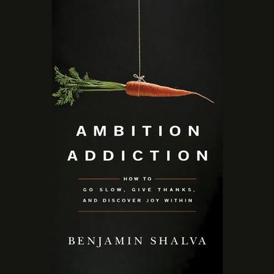 Ambition Addiction by Benjamin Shalva audiobook
