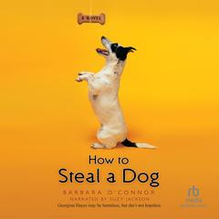 How to Steal a Dog by Barbara O'Connor audiobook