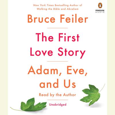 The First Love Story by Bruce Feiler audiobook
