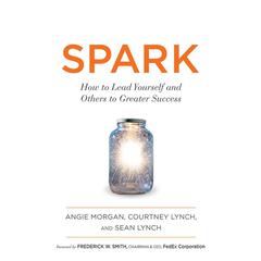 Spark by Angie Morgan audiobook