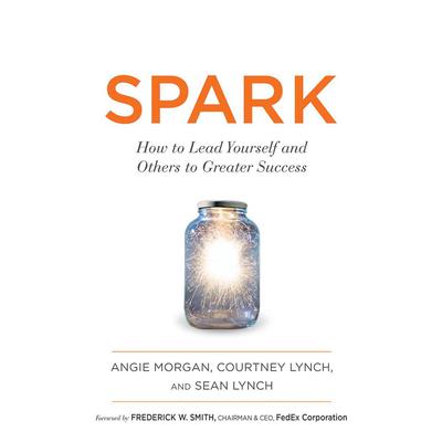 Spark by Angie Morgan audiobook