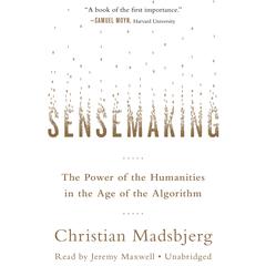 Sensemaking by Christian Madsbjerg audiobook