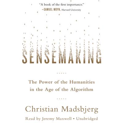 Sensemaking by Christian Madsbjerg audiobook