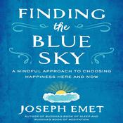 Finding the Blue Sky by  Joseph Emet audiobook
