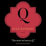 Q: A Novel by  Evan Mandery audiobook